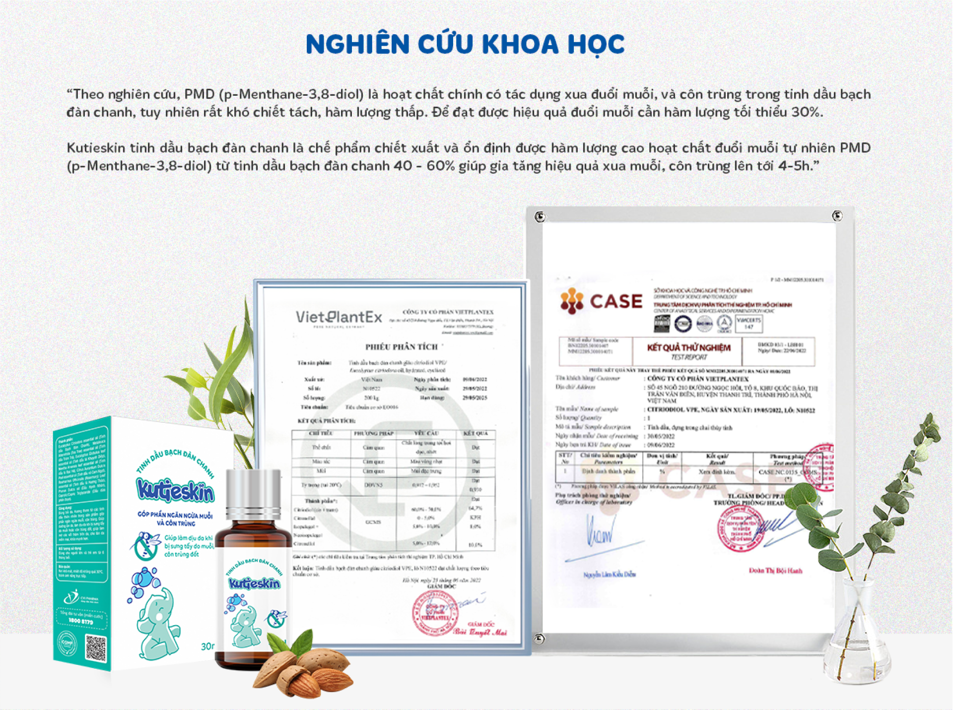 nghiên cứu khoa học tinh dầu bạch đàn chanh Kutieskin