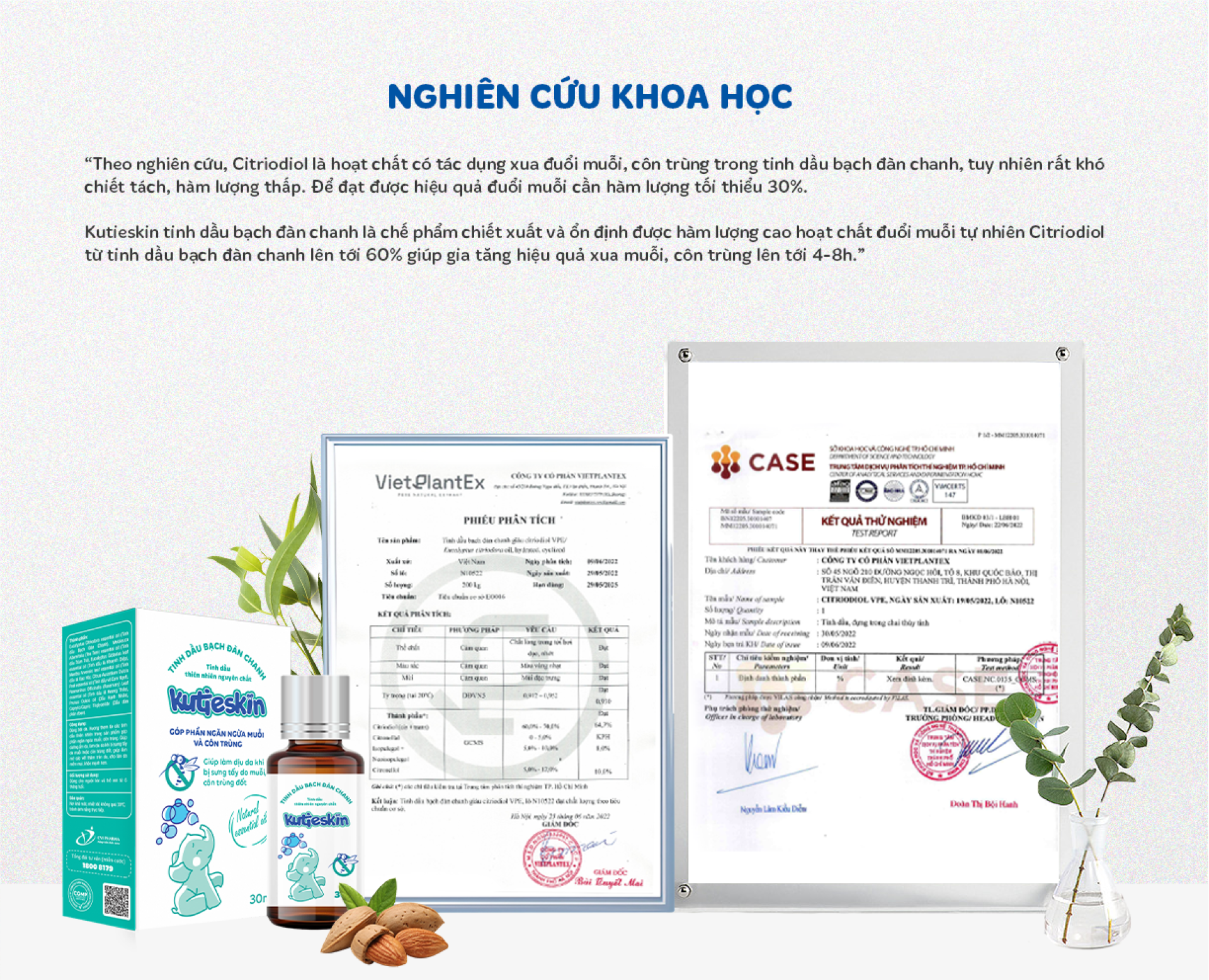 nghiên cứu khoa học tinh dầu bạch đàn chanh Kutieskin